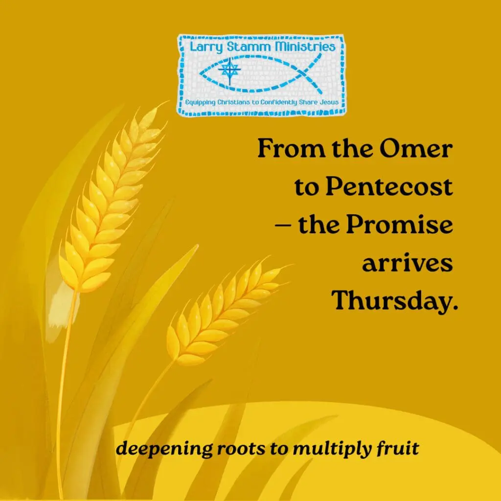 An illustration of golden wheat stalks with deep roots on a yellow background, representing the journey from the Omer to Shavuot.