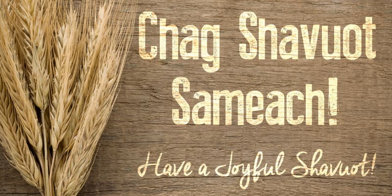 Chag shavuot sameach poster with grains image
