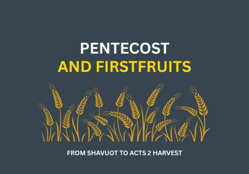 Pentecost and Firstfruits wheat illustration.
